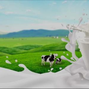 icon Milk Product