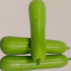 Bottled gourd ( 500 gm )