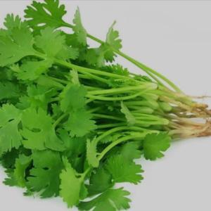 coriander 250 gm