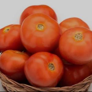 Tomato - 5 kg