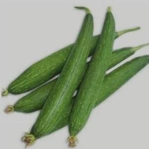 sponge gourd 1 kg